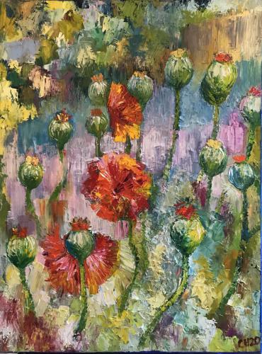 Poppies
